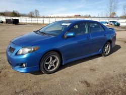 Salvage cars for sale at Columbia Station, OH auction: 2010 Toyota Corolla Base