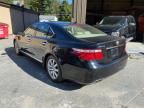 2007 Lexus LS 460