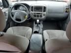 2005 Ford Escape XLT