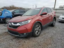 Salvage cars for sale from Copart Hillsborough, NJ: 2019 Honda CR-V EXL