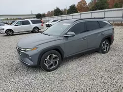 Salvage cars for sale at Memphis, TN auction: 2024 Hyundai Tucson Limited