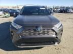 2019 Toyota Rav4 XSE