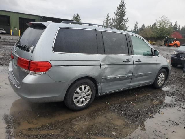 2010 Honda Odyssey EXL