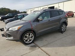 Ford salvage cars for sale: 2013 Ford Escape SEL