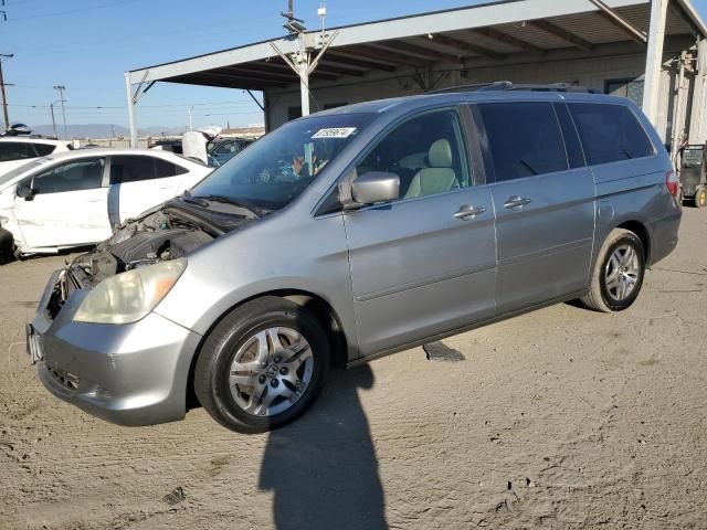 2006 Honda Odyssey EXL