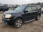 2013 Honda Pilot EXL