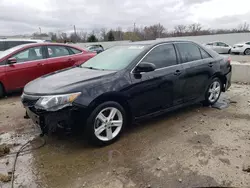 Vehiculos salvage en venta de Copart Louisville, KY: 2013 Toyota Camry L