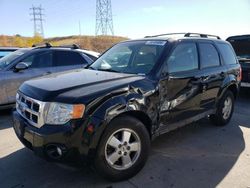 Salvage cars for sale at Littleton, CO auction: 2008 Ford Escape XLT