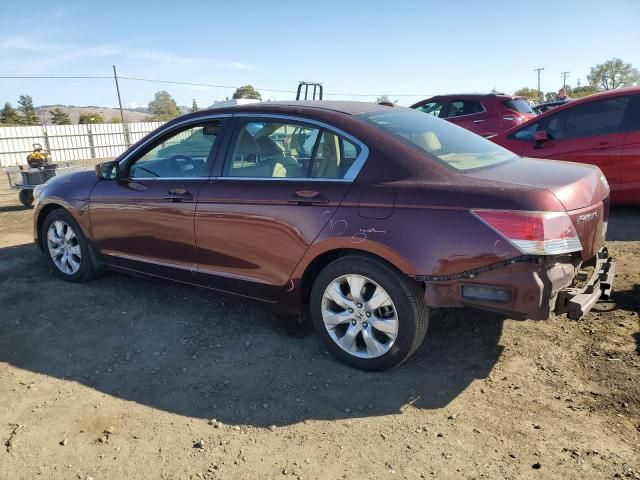 2010 Honda Accord EXL