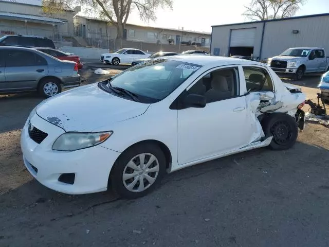 2010 Toyota Corolla Base