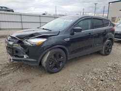 Ford salvage cars for sale: 2016 Ford Escape SE