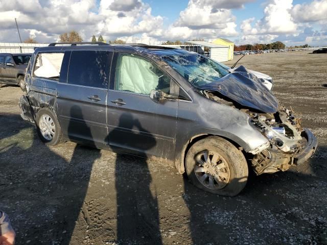 2009 Honda Odyssey EXL