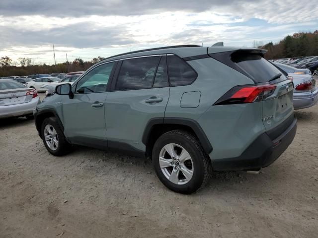 2019 Toyota Rav4 XLE