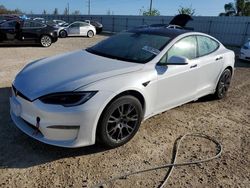 2023 Tesla Model S en venta en Arcadia, FL