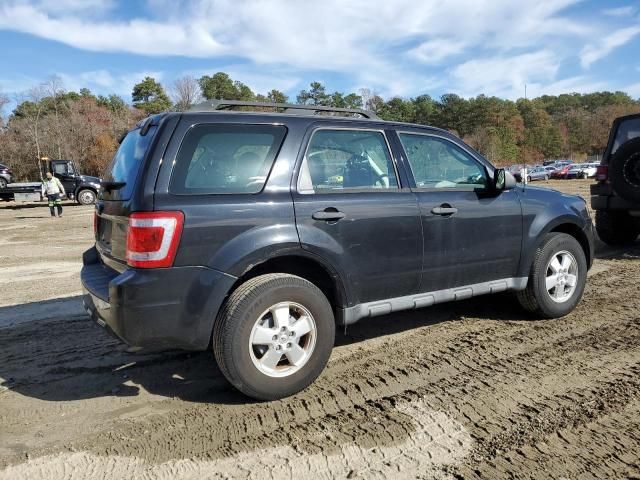 2011 Ford Escape XLS