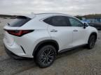 2025 Lexus NX 250 Premium