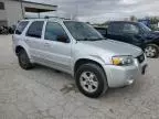 2006 Ford Escape Limited