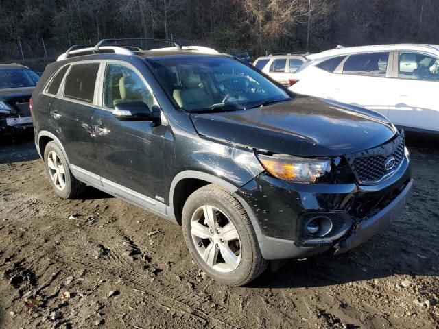 2013 KIA Sorento EX