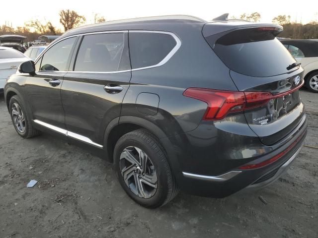 2023 Hyundai Santa FE SEL Premium