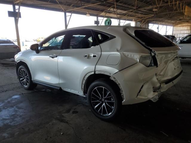 2024 Lexus NX 350H Base