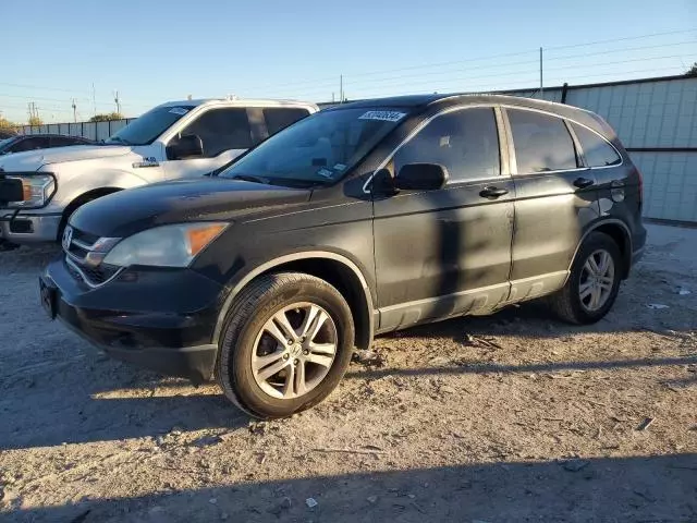 2010 Honda CR-V EXL