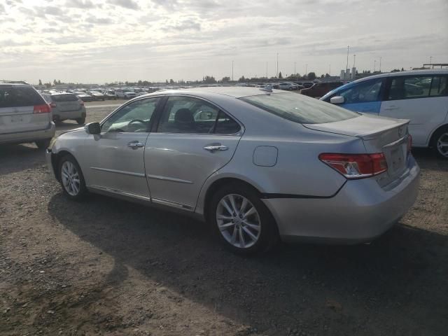 2010 Lexus ES 350