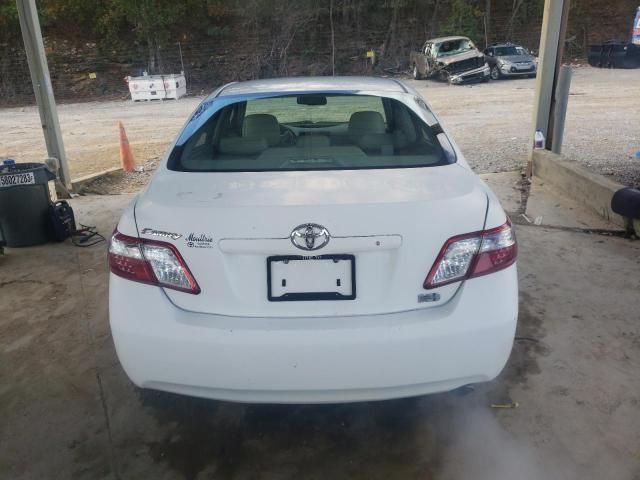 2009 Toyota Camry Hybrid