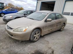 Honda salvage cars for sale: 2004 Honda Accord EX