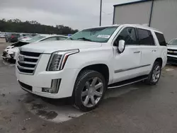 Cadillac Vehiculos salvage en venta: 2017 Cadillac Escalade Luxury