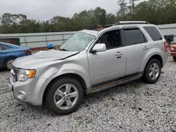 Ford salvage cars for sale: 2011 Ford Escape Limited