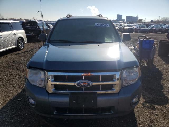 2012 Ford Escape XLT