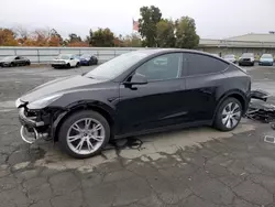 2024 Tesla Model Y en venta en Martinez, CA