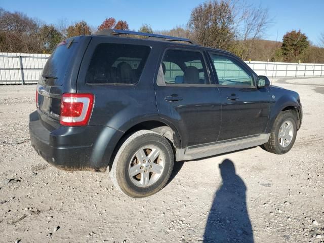 2008 Ford Escape HEV