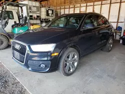 Audi Vehiculos salvage en venta: 2015 Audi Q3 Prestige