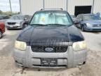 2001 Ford Escape XLT