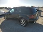 2006 Mercedes-Benz ML 500