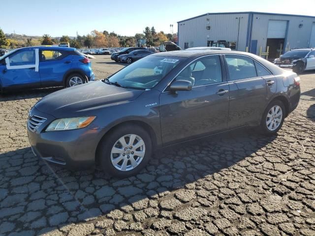 2008 Toyota Camry Hybrid