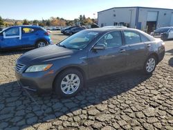 Toyota Vehiculos salvage en venta: 2008 Toyota Camry Hybrid