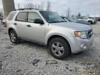 2009 Ford Escape XLT