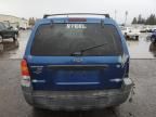 2007 Ford Escape XLT