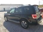 2010 Ford Escape Limited