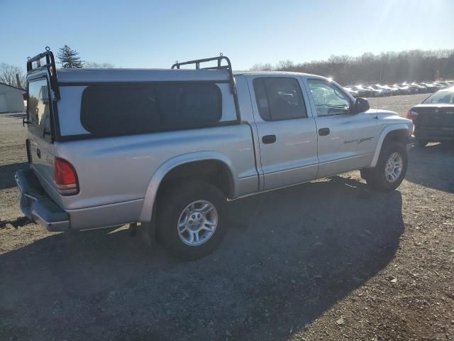 2001 Dodge Dakota Quattro