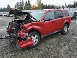 Ford salvage cars for sale: 2009 Ford Escape XLT