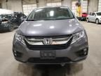 2019 Honda Odyssey EXL