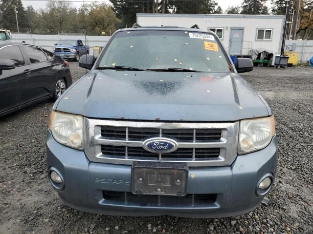 2010 Ford Escape XLT