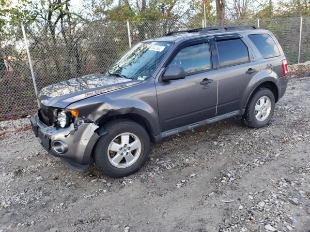 2012 Ford Escape XLT