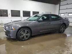 Dodge salvage cars for sale: 2013 Dodge Charger SXT