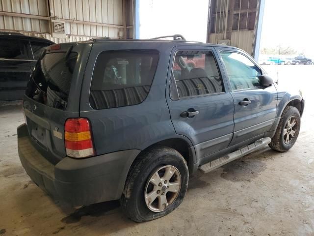 2006 Ford Escape XLT