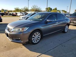 Honda Accord exl salvage cars for sale: 2013 Honda Accord EXL