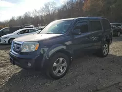 2009 Honda Pilot EXL en venta en Marlboro, NY